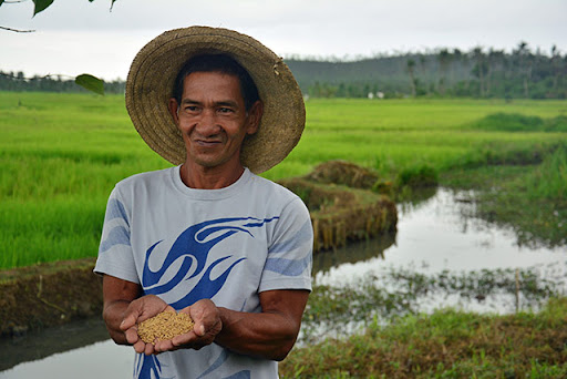 Filipino Farmers Could Make Nation Rice Self Sufficient Food For